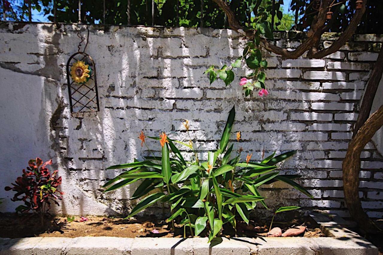 Casita Piedra Apartment Puerto Escondido  Bagian luar foto